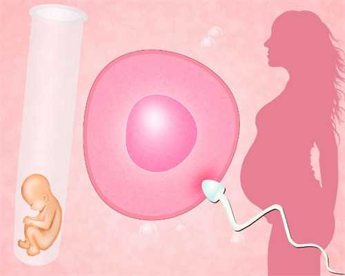 国内试管试管助孕公司供卵性别选择成本构成分
