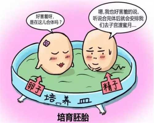 广州助孕生小孩要多少钱