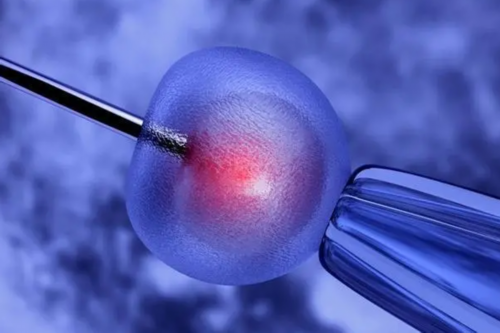 想找四川代生价格明细有几家做试管代