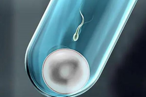 探寻株洲代生费用：助孕网价格与可靠性解析