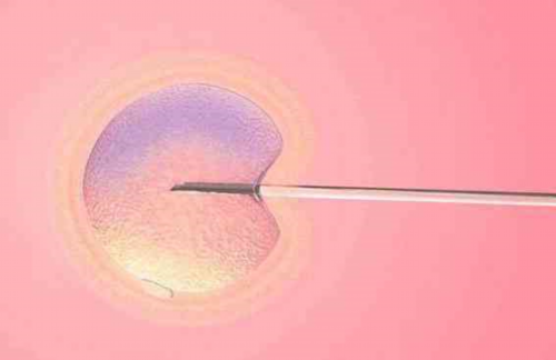 新生儿黄疸的奥秘：揭开"金黄"背后的健康真相