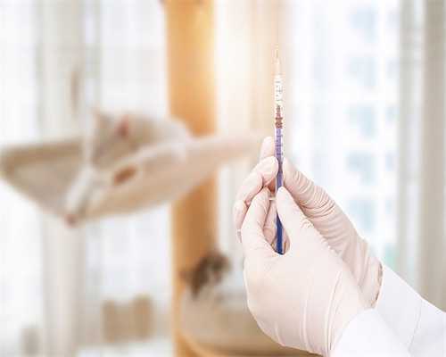 海南试管代生费用解析：助您了解代生和代怀的成本