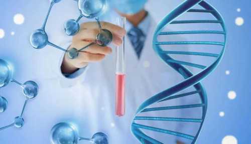 子宫体位解析：前位与后位对怀孕的影响