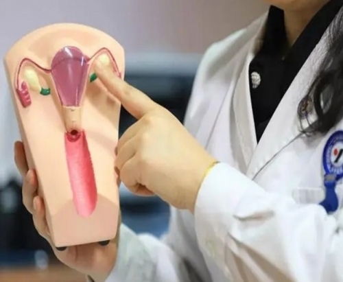 科学调整白天小睡时长，助力生育计划