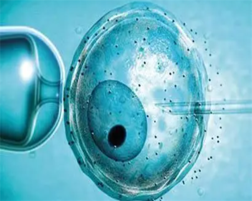 揭秘试管婴儿反复失败的深层原因：胚胎“内卷”的真相
